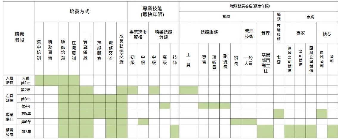 青年員工培養成長路徑圖