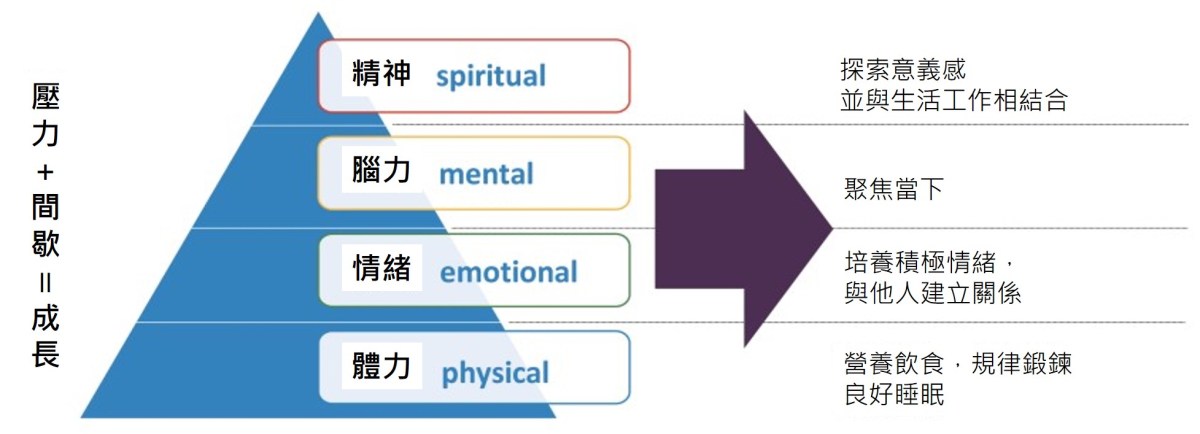 精力金字塔